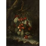 FRANCESCO MALAGOLI, att. to (Modena 17th century) BRANCH OF CHERRIES OVER BROOK Oil on canvas, cm.