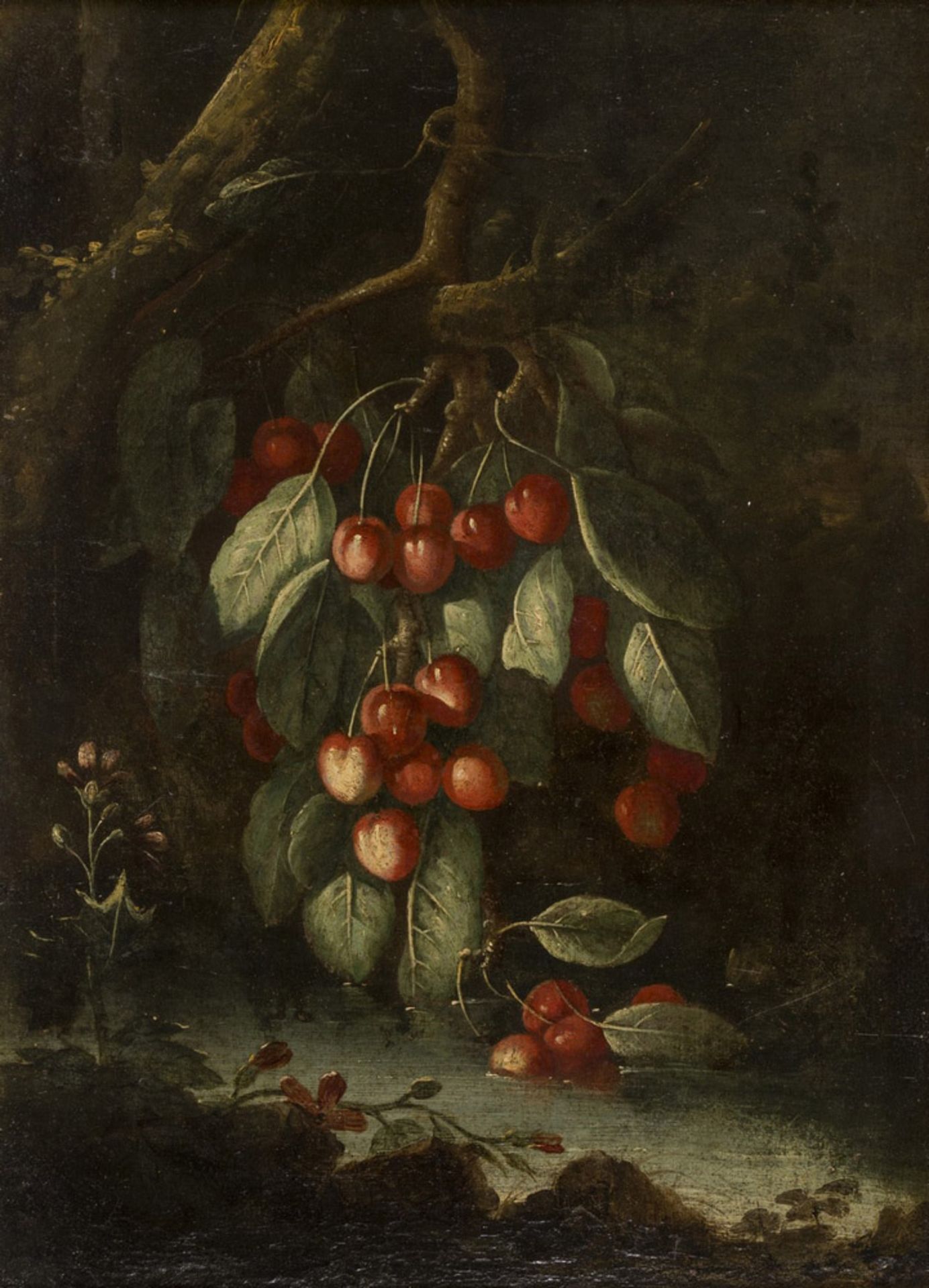 FRANCESCO MALAGOLI, att. to (Modena 17th century) BRANCH OF CHERRIES OVER BROOK Oil on canvas, cm.