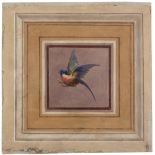 ITALIAN PAINTER, 19TH CENTURY Colored birds in flight Four oil paintings on plaster aplied on canvas
