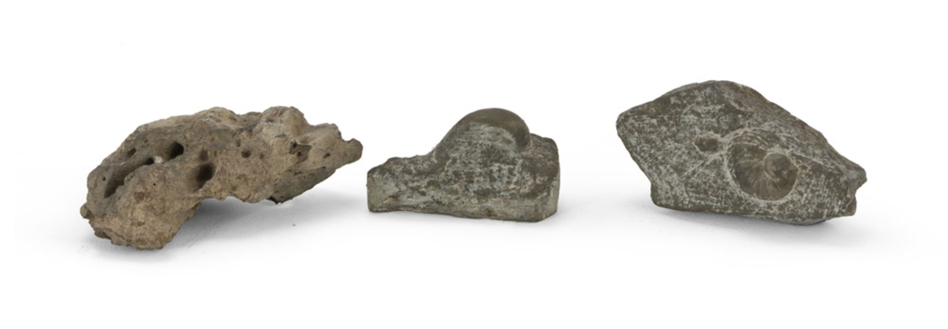 THREE BASALT FRAGMENTS WITH FOSSILS – INDEFINABLE ERA