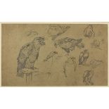 HENRY COLEMAN (Rome 1846 - 1911) STUDY OF BIRDS OF PREY Pen and pencil on yellow paper, cm. 27 x