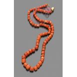 NECKLACE one thread of red coral, clasp in yellow gold 18 kts. Length cm. 70, total weight gr. 100,