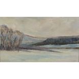 RUSSIAN PAINTER OF THE 20TH CENTURY Landscape with lake and trees Oil on canvas, cm. 35 x 60