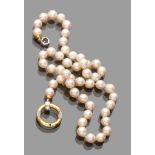 PEARL NECKLACE with ring clasp in yellow gold 18 kts. and diamonds. Diamonds ct. 0,05, pearls mm. 8,