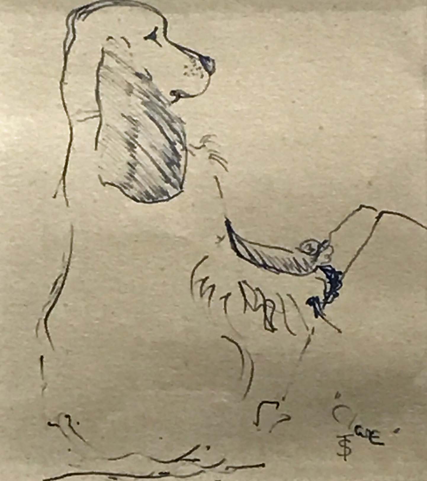 Sheila Tolley (1939-)Clare, The Artist's Cocker Spaniel, ink on paper, signed,6" x 5.25".