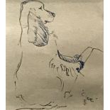 Sheila Tolley (1939-)Clare, The Artist's Cocker Spaniel, ink on paper, signed,6" x 5.25".