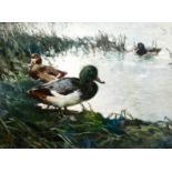 Charles Simpson (1873-1928) Scaup (Duck and Drake), oil on canvas, signed, 21" x 28". Provenance: A.