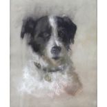 Mary Maungdon? (20th century): a chalk and pastel portrait of a black and white terrier dog,