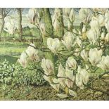 Magnolias with an English country garden beyond, an unusual close up study, 20th century print,