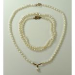A single string of Mikimoto cultured pearls with a 9ct gold clasp, 51cm long, 13.