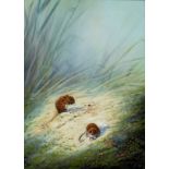 Mike Nance (British, 20th century): a pair of studies comprising Two Field Mice in a Cornfield,