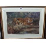 Cuthbert Edmund Swan (1870-1931), Tiger in the undergrowth, watercolour, signed, 34cm x 49cm.