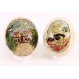 Two painted South African ostrich eggs,