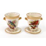 A pair of Royal Worcester two-handled cups and fixed stands, 1870's,