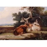 English School, 19th Century, Cows and sheep in a landscape, oil on board, 20 x 28.5cm.