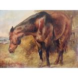 English School, 19th Century, A study of a horse, oil on board, 22 x 29cm.