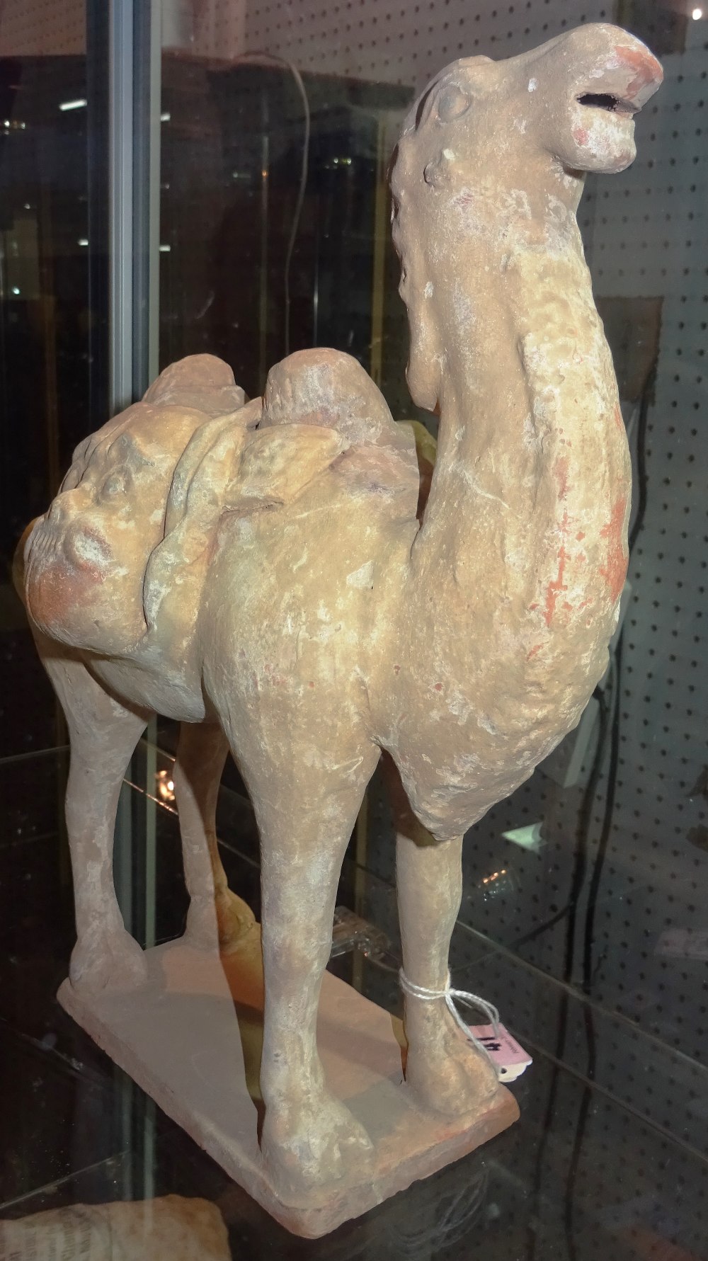 A Tang style pottery Bactrian camel, standing four square with head raised,