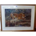 Cuthbert Edmund Swan (1870-1931), Tiger in the undergrowth, watercolour, signed, 34cm x 49cm.