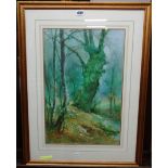 Thomas Tayler Ireland (fl.1880-1927), A woodland stream, watercolour, signed, 51.5cm x 34cm.