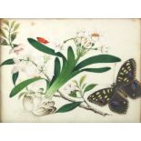 Chinese School, 19th Century, Butterfly and flowering peach blossom and allium,