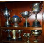 A quantity of silver plated trophies and trophy cups relating to the British Chihuahua Club, (qty).
