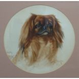 Reuben Ward Binks (1880-1950), Verity Vega: a Pekingese, watercolour, circular, signed,