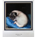 Alethea Garstin (1894-1978), 'Precious', study of a pug, watercolour,