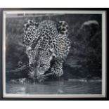 After Jamie Thom, a Leopard drinking, bears Trowbridge Gallery certificate of authenticity (verso),