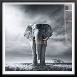 After Chris Clor Majestic Elephant, bears Trowbridge Gallery certificate of authenticity (verso),