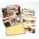 A large collection of Real Photographic, black & white and coloured postcards, including animals,