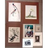 A folio of assorted watercolours, oils, drawings, prints and engravings,