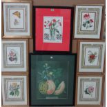 A quantity of assorted prints and engravings, of mainly botanical and furnishing subjects.