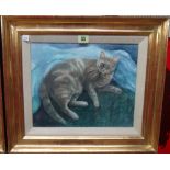 Janet Skea (b.1947), Rozanne on blue (cat), watercolour, signed, 26cm x 32.5cm.