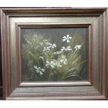 Mary Dipnall (late 20th century), Meadow flowers, oil on canvas, signed, 23cm x 29cm.