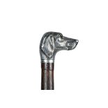 A silver mounted bamboo walking cane, the handle cast as a dog's head with inset glass eyes,