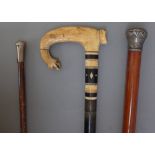 An ivory and ebony mounted ebonised walking stick, the handle carved with a bird's head (90cm),