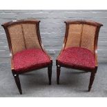 A pair of William IV stained beech tub back side chairs on tapering reeded supports,