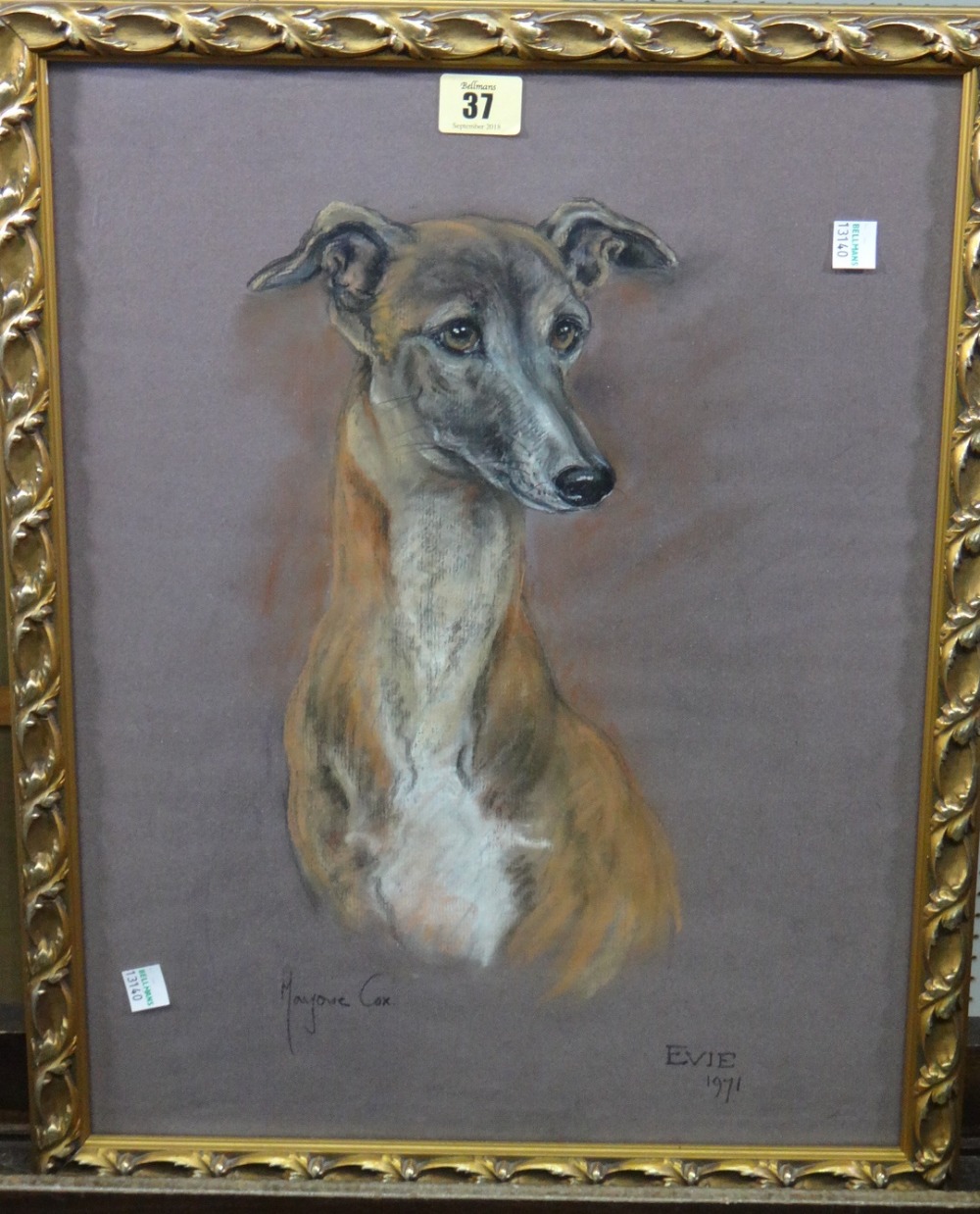 Marjorie Cox, (1915-2003), Evie; Study of a Greyhound, pastel, signed, inscribed and dated 1971,