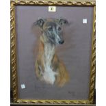 Marjorie Cox, (1915-2003), Evie; Study of a Greyhound, pastel, signed, inscribed and dated 1971,