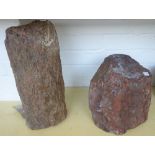 A selection of fossilized wood samples, the largest 40cm high and of cylindrical form, (7).