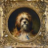 Thomas Earl (1815-1885), Study of a terrier, oil on canvas, signed, circular, 35cm x 35cm.