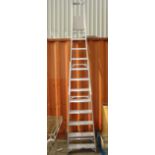 A twelve rung aluminium framed ladder, 325cm high.