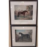 After George Stubbs, The Godolphin Barb; The Byerley Turk, Diomed, The Darley Arabian,