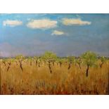 Constant Cosyn (20th century), Olive grove, oil on board, signed and dated '66, 51cm x 68cm.