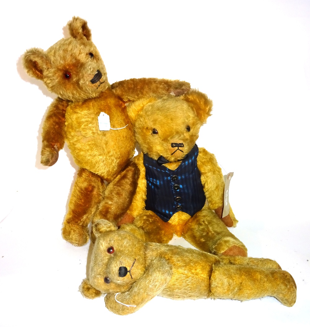 Three early 20th century teddy bears, possibly 'Merrythought', with golden fur and jointed limbs,