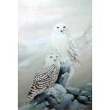 Bryan Reed (b.1964), White Owls, watercolour, signed, 55cm x 37.5cm.