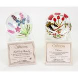 Two Caithness glass paperweights, Cherries No 23/50 and Field Study Butterfly No 211/250,