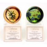 Two Caithness glass paperweights, Caterpillar No 34/50 and Tree Lizard No 31/5,