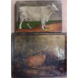 A. W. Hoare (19th/20th century), Study of a cow, oil on canvas, signed, 17.5cm x 25cm.