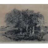 Anthony Gross (1905-1984), The Fish Pond, etching, signed, inscribed and numbered 24/40 in pencil,